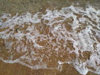 foam on the beach