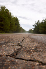 the road in the forest