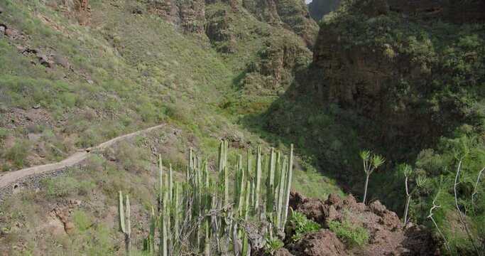 The rocky mountainous landscape of the Barranco del Infierno, Adeje, Tenerife Sur.