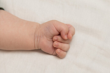 small hand of a three month old baby