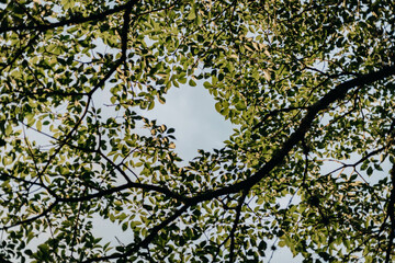 Paisagens Serra da Mantiqueira - Pindamonhangaba
