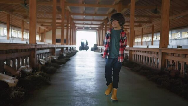 Portrait chlidren boy walking smiling look around in barn with livestock. Ranch, rural. Indoors in village. Close up. Goat farm. Slow motion