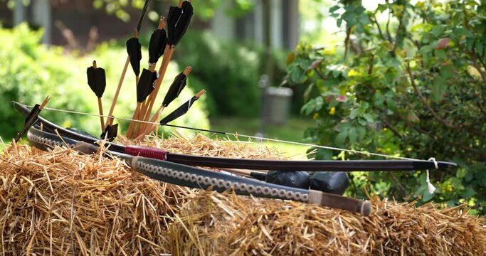 two bows and several shooting arrows