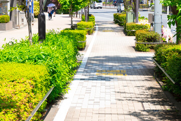 歩行者分離歩道