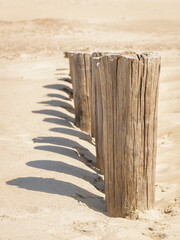 Close-up of pole heads or wave-breakers on a sandy beach at the North Sea, in Zeeland, The Netherlands