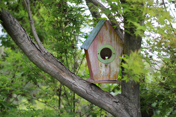 wooden bird house