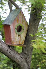 wooden bird house