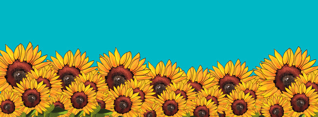 
sunflowers background illustration