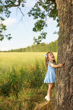 A little girl in a blue dress with a bow in her hair hugs a big thick tree trunk and looks up in amazement. Copy space. The child's mouth is open in surprise.