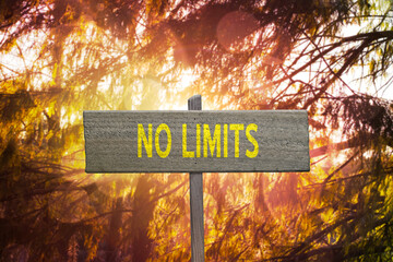 No Limits motivational sign.