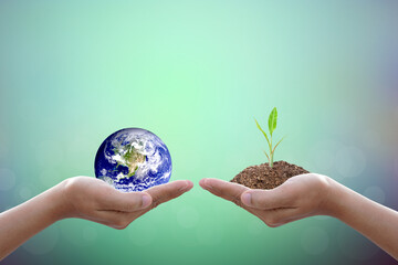 Human hand holding  tree and world on blurred nature background.World environment day.