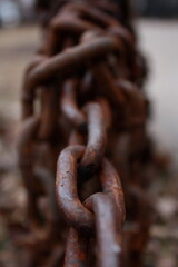 Macro of rusted chain