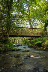Fototapeta na wymiar Wooden footbridge in Stanislaus fountain park