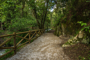 Path on the bank of the river Lourido in the park of the fountain of Stanislaus