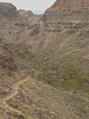 Views of the Tirajana ravine from the prehispanic site "Ansite Fortress"