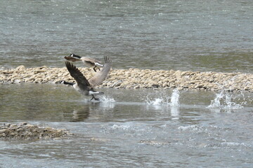 Fototapeta premium The Glories of the Outdoors.