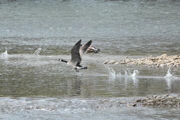 The Glories of the Outdoors.