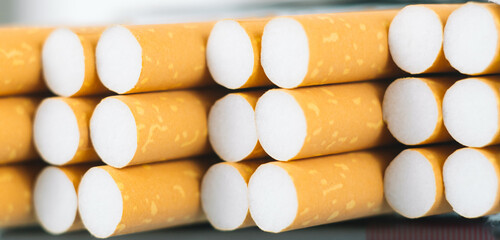 Close up tobacco cigarette background or texture. Heap of tobacco cigarettes close up from the front