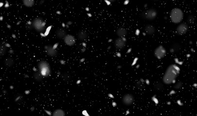 Snowfall overlay isolated in black background abstract. Snow falls at night, Blizzard, snowflakes on black background. Falling down real snowflakes heavy snow