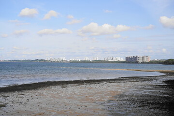 view of the city from the river