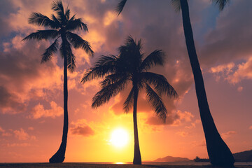 Silhouettes of palm trees at sunset 
