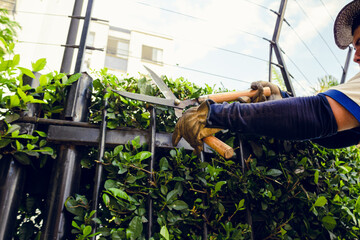 mano de persona jardinera con tijeras grandes para cortar plantas al aire libre en d&iacute;a soleado