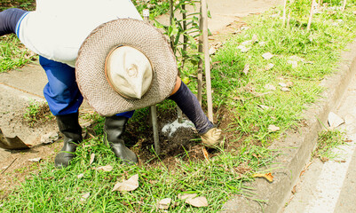 jardinero con sombrero y botas, limpiando con guantes césped de jardín y verificando.