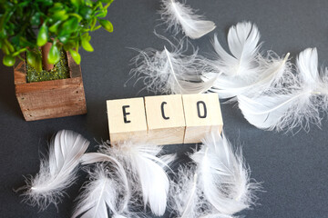 エコロジーのイメージー木製ブロックに印字された「ECO」の文字
