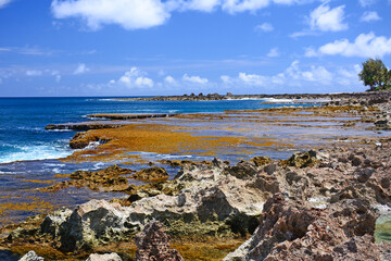 Coastline at Sharks Cove on the Northshore of the island of Oahu in Hawaii. 