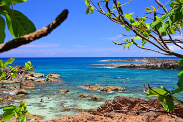 Sharks Cove on a sunny summer day on the Northshore of the island of Oahu in Hawaii. 