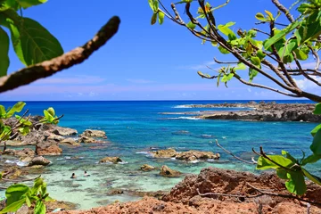 Fototapeten Sharks Cove on a sunny summer day on the Northshore of the island of Oahu in Hawaii.  © Ryan Tishken