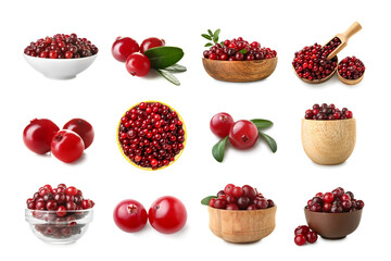 Set of tasty ripe cranberry isolated on white