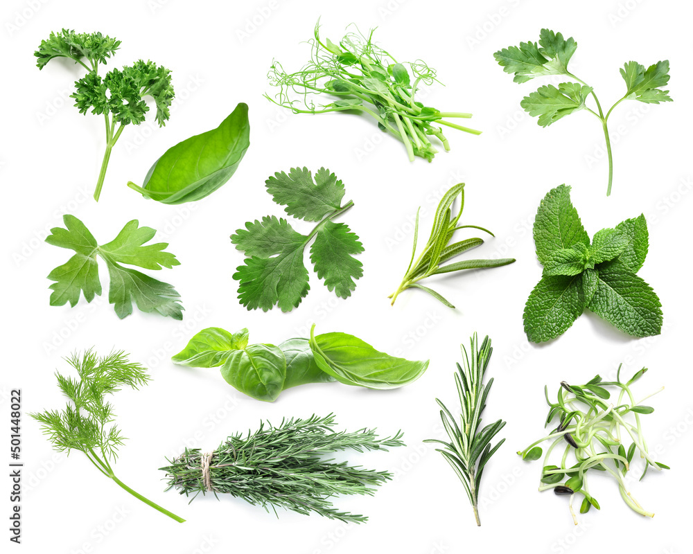 Wall mural set of fresh green herbs on white background - Wall murals