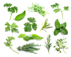 Set of fresh green herbs on white background