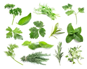 Poster Set of fresh green herbs on white background © Pixel-Shot