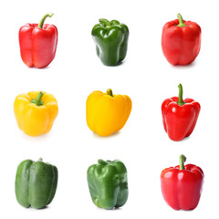 Set of colorful bell pepper isolated on white
