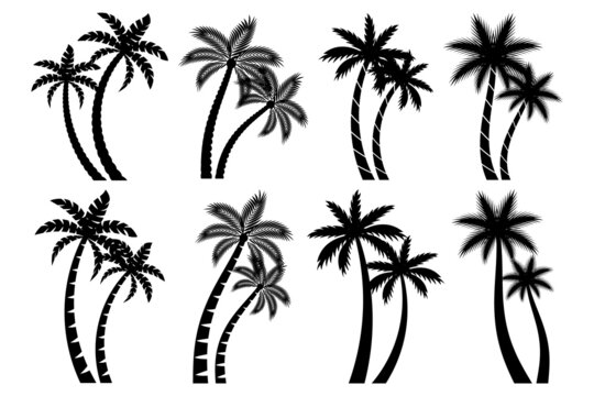 Collection couple palm trees silhouette isolated white background