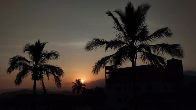 P&ocirc;r do sol com silhuetas de coqueiros e pr&eacute;dios