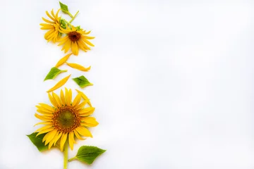 Schilderijen op glas yellow flowers sunflowers arrangement flat lay postcard style on background white © phenphayom