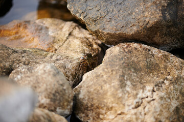 the stones lie in the sea in summer