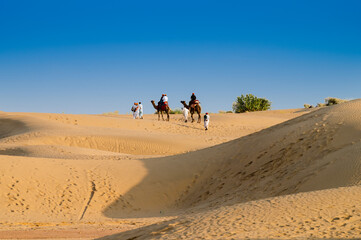 Tourists riding camels, Camelus dromedarius, at sand dunes of Thar desert. Camel riding is a favourite activity amongst all tourists visiting here,