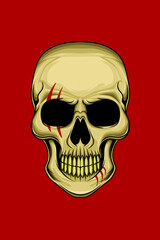 Human head skull vector illustration