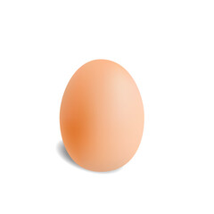 Realistic chicken egg on white background vector illustration