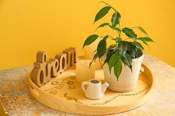 Tray with ficus benjamina in pot, jewelry, candles and decor on table near yellow wall