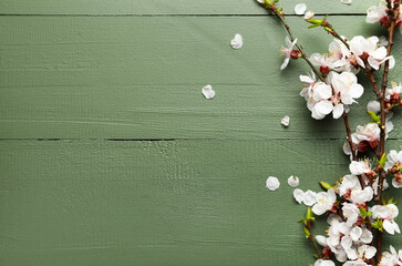 Beautiful blooming spring branches on green wooden background, top view