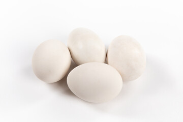 goose eggs isolated on white background