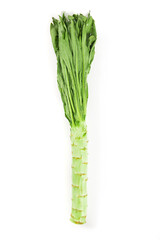 Fresh asparagus lettuce isolated on white background.
