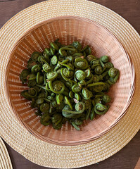 A basketful of freshly foraged wild fiddlehead ferns. 