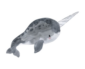 Watercolor Narwhal illustration for kids © Olga Listopad