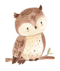 Foto op Plexiglas Watercolor owl illustration for kids © Olga Listopad